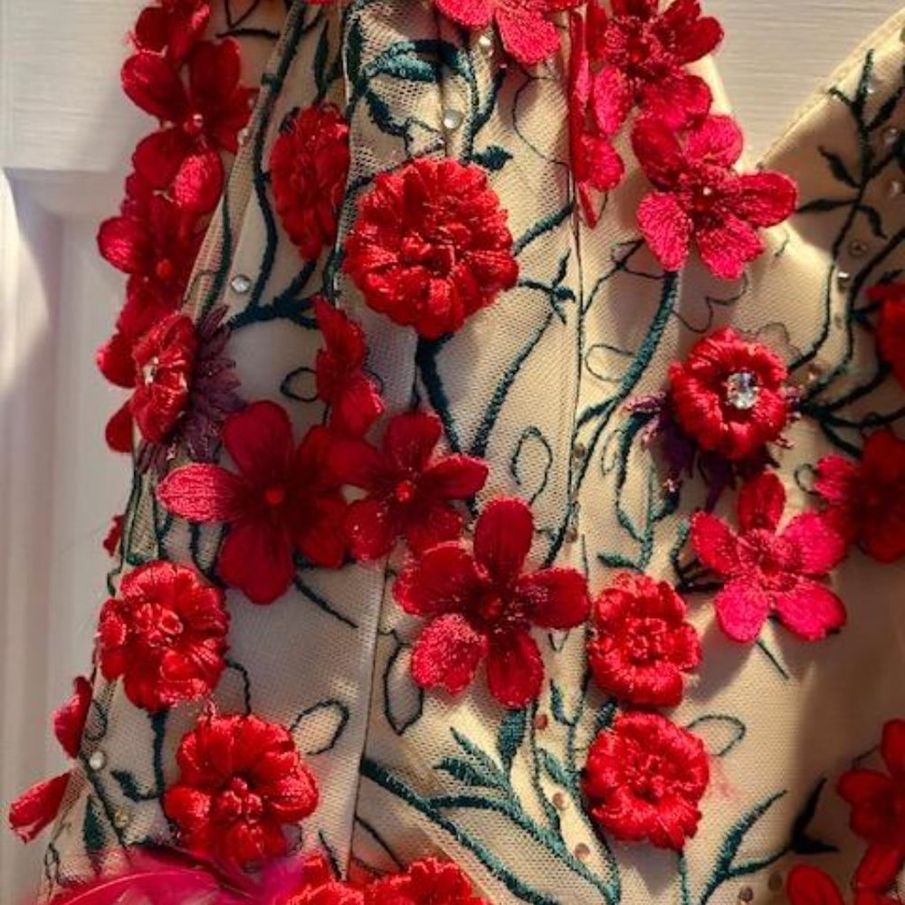 Prom dress - Picture 4 of 5